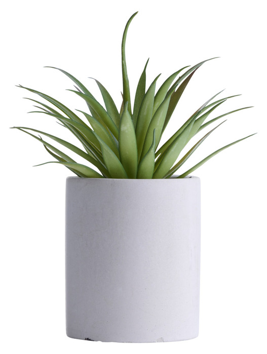 Kunstig plante agave H19 cm